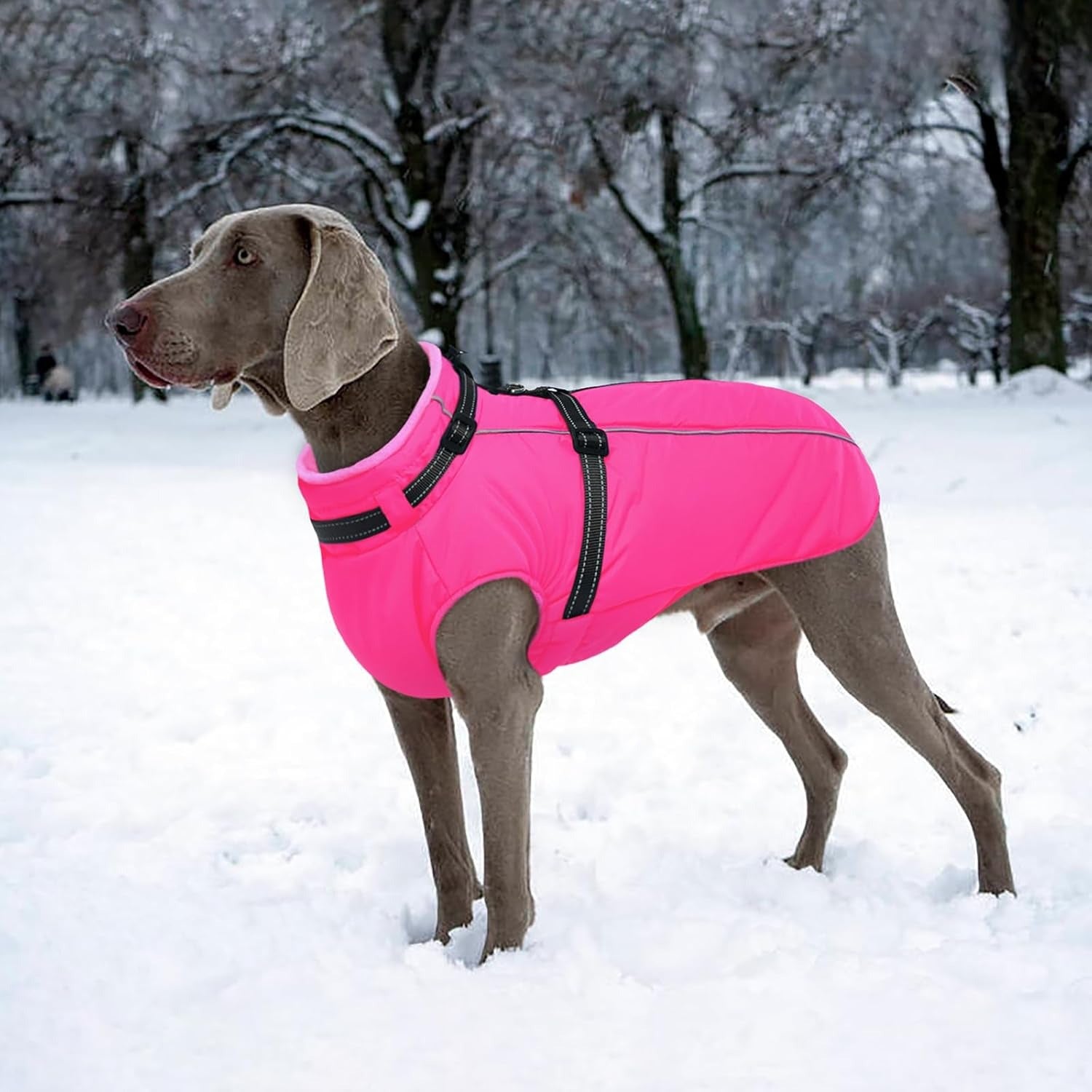 Waterproof Dog Jacket with Harness Built In – Reflective Fleece Zip Coat