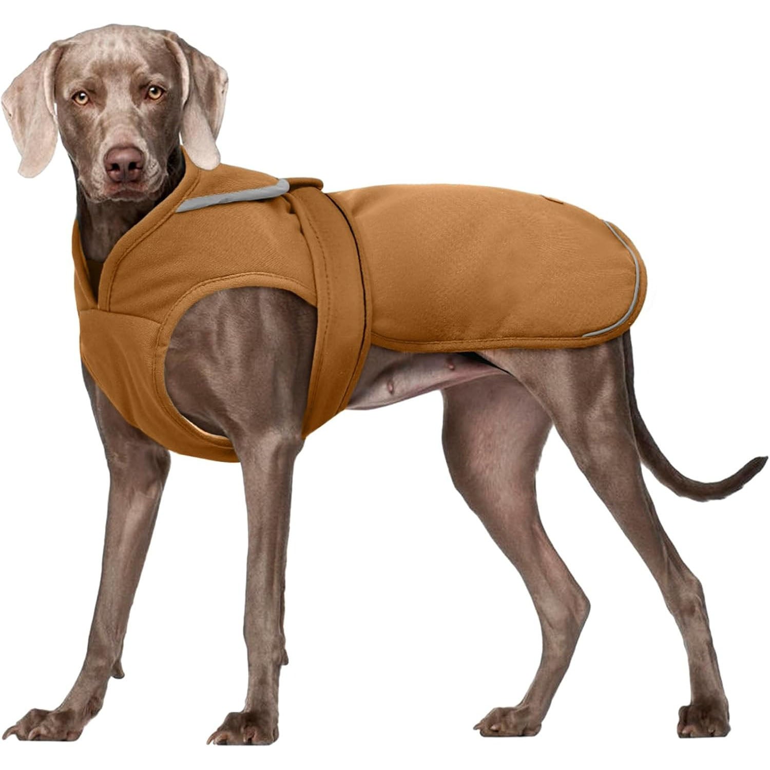 Canvas Dog Coat – Warm Reflective Fleece Winter Vest with Zipper & Leash Hole