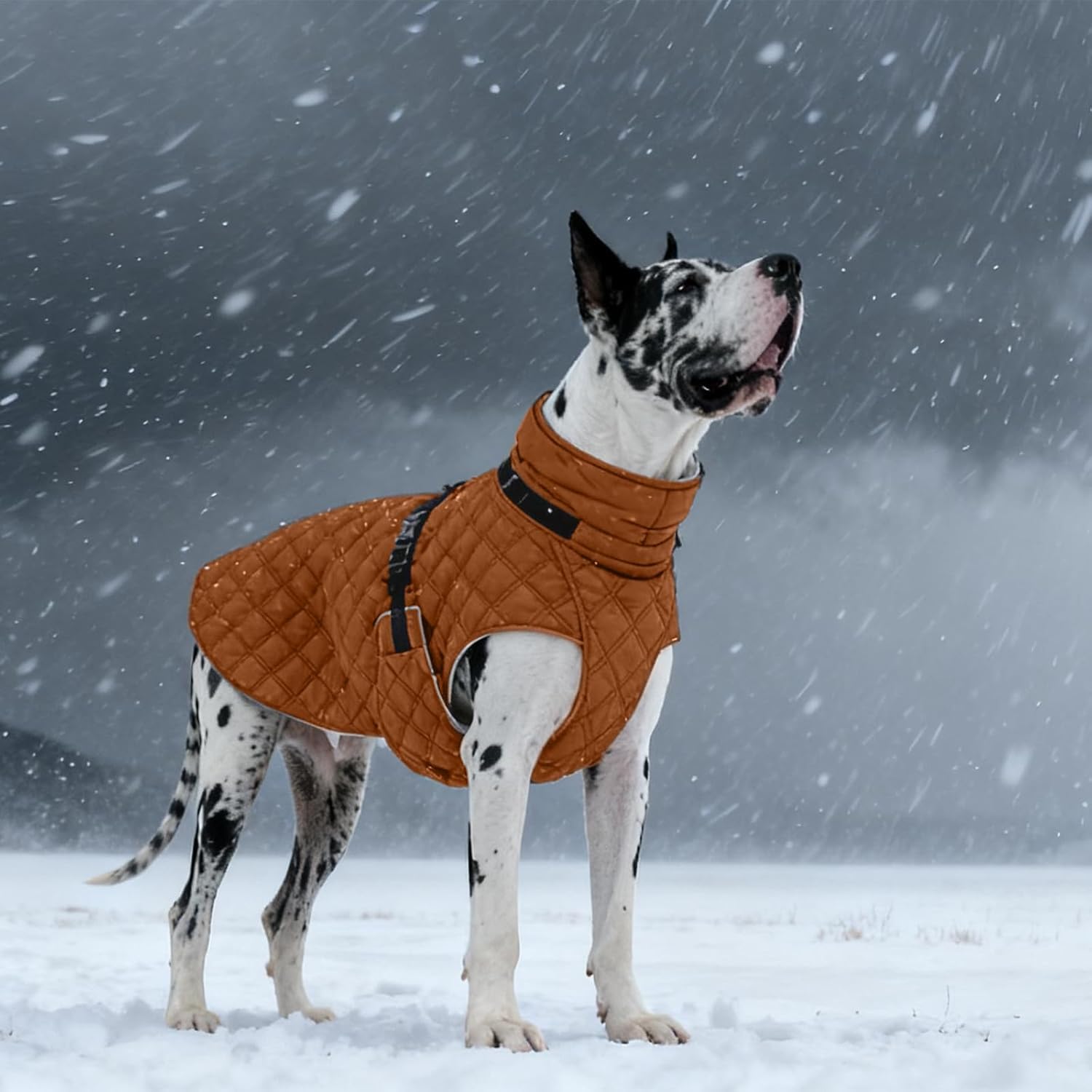Warm Fleece Lining Turtleneck Dog Jacket – Adjustable Windproof Cold Weather Coat