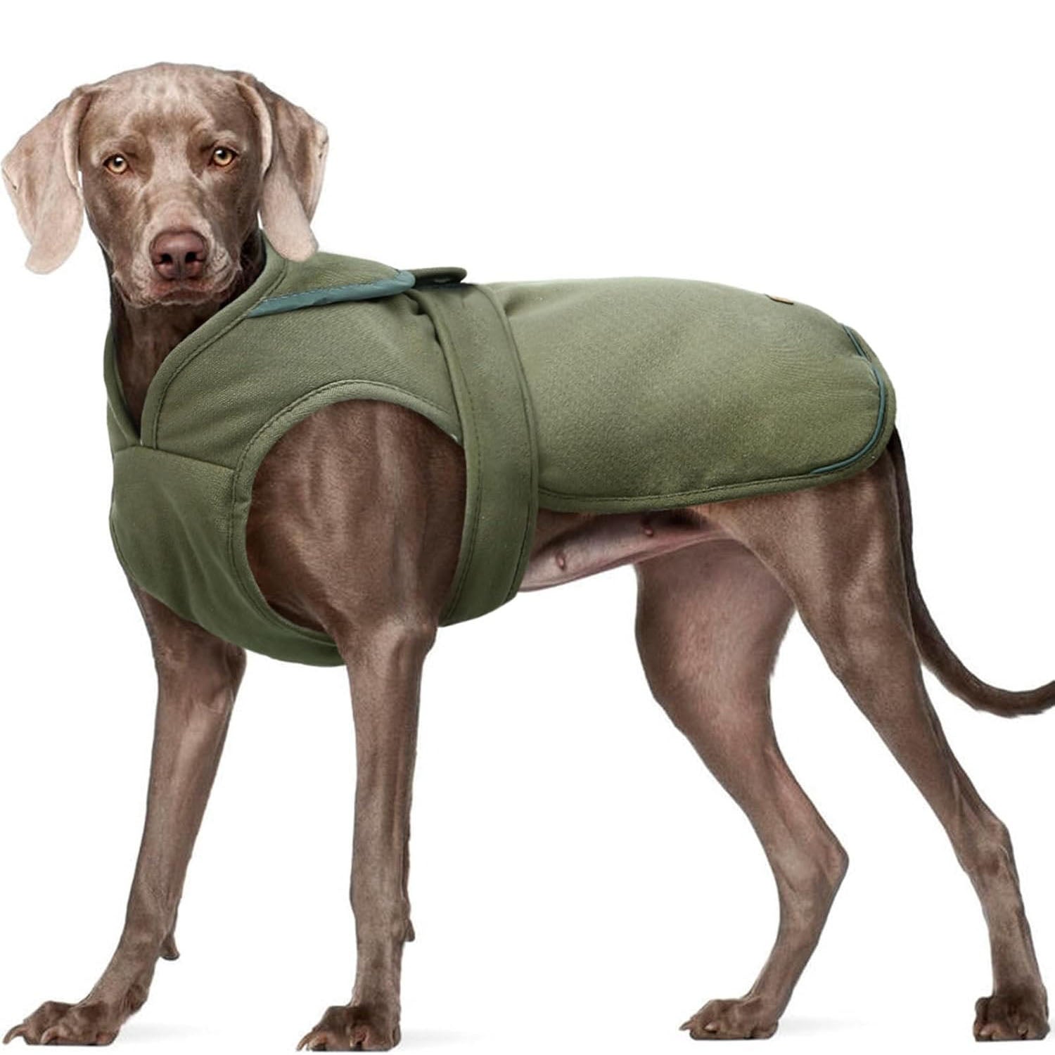 Canvas Dog Coat – Warm Reflective Fleece Winter Vest with Zipper & Leash Hole