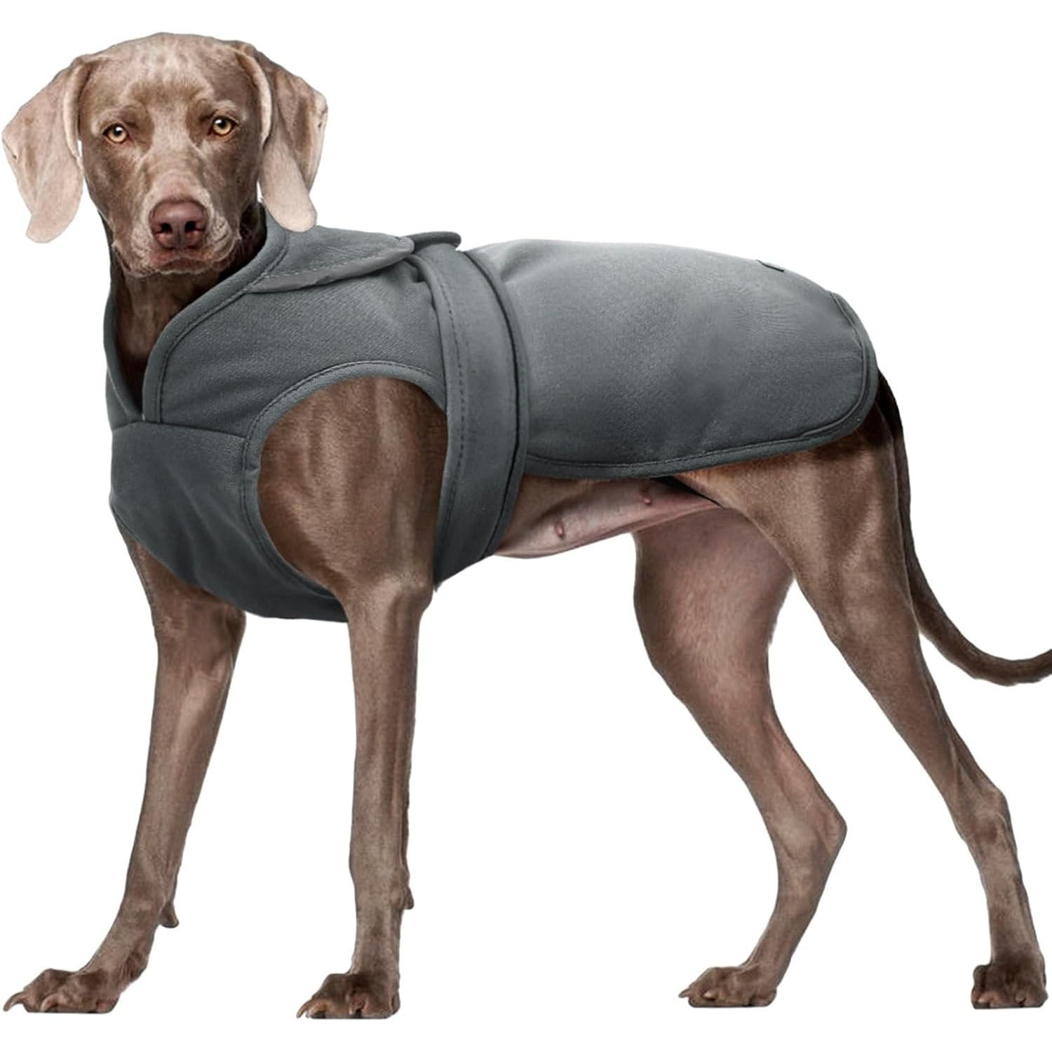 Canvas Dog Coat – Warm Reflective Fleece Winter Vest with Zipper & Leash Hole