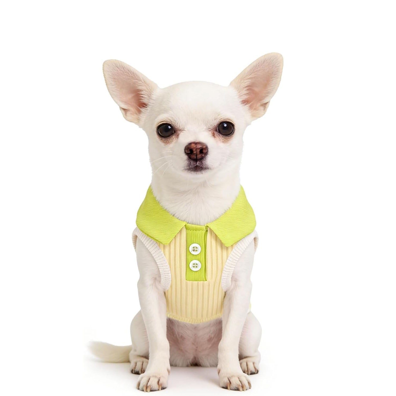 Stretchy Dog T-Shirt for Small Dogs – Breathable Polo Shirt Cooling Vest