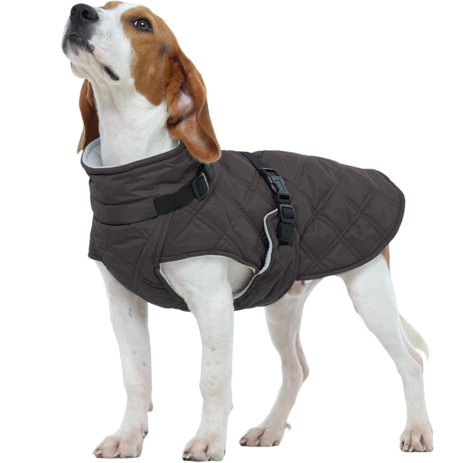 Warm Fleece Lining Turtleneck Dog Jacket – Adjustable Windproof Cold Weather Coat