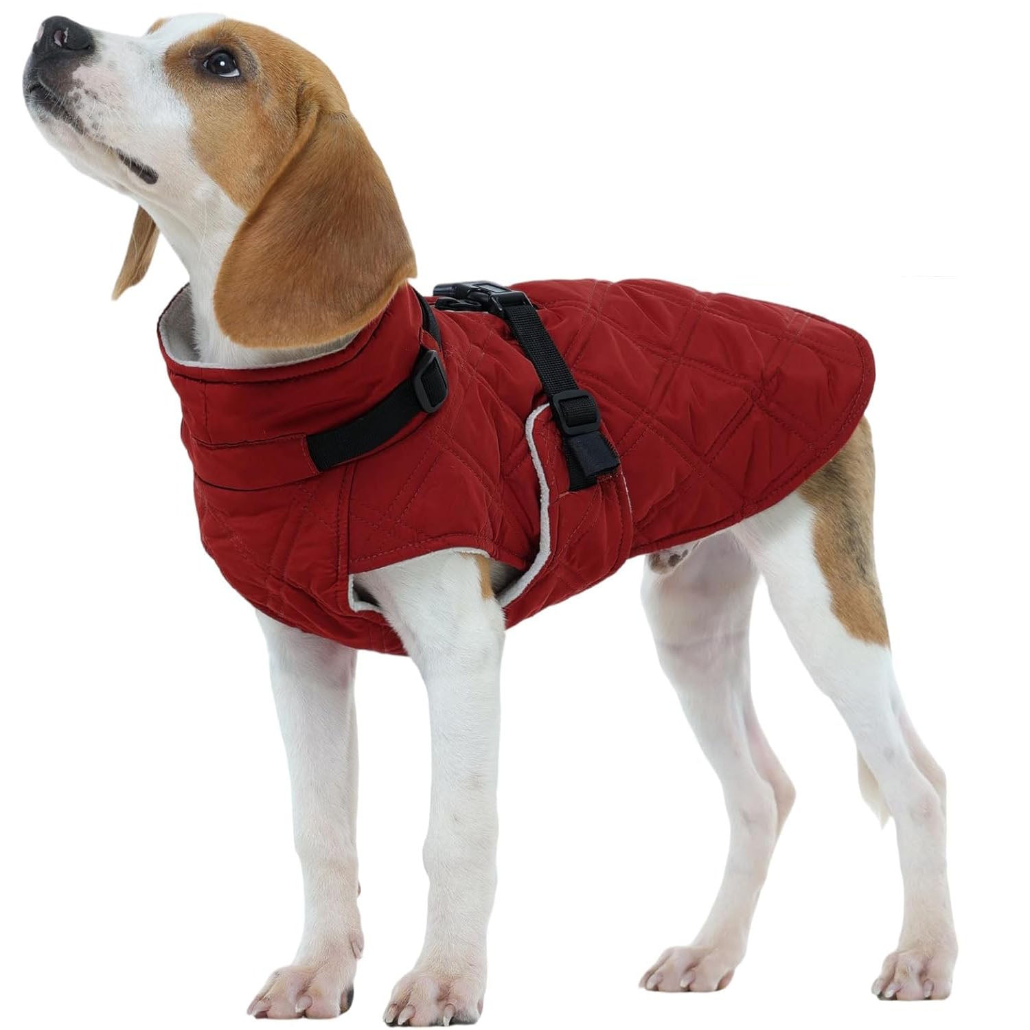 Warm Fleece Lining Turtleneck Dog Jacket – Adjustable Windproof Cold Weather Coat