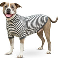 Soft Cotton Spandex Dog Shirt – Mid-Length Sleeves with Full Belly Coverage