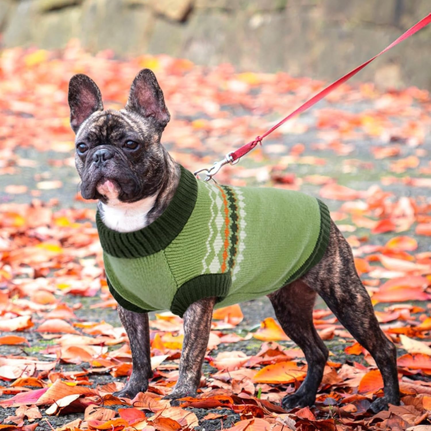 Thermal Dog Sweater with Leash Hole – Sleeveless Knit Pullover
