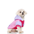 Fleece Dog Hoodie Sweatshirt with Pocket and Leash Hole – Stretchy Clothes