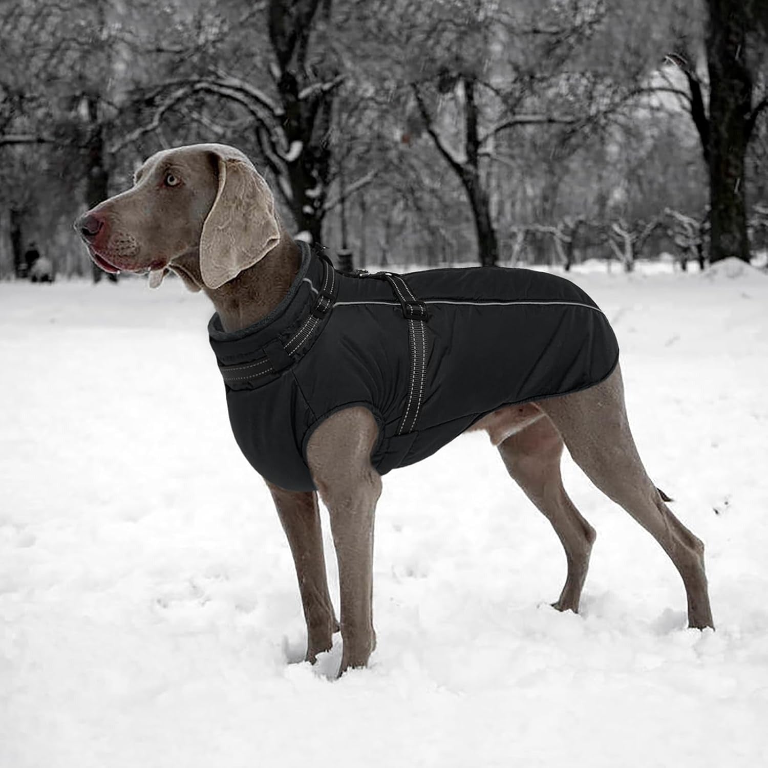 Waterproof Dog Jacket with Harness Built In – Reflective Fleece Zip Coat