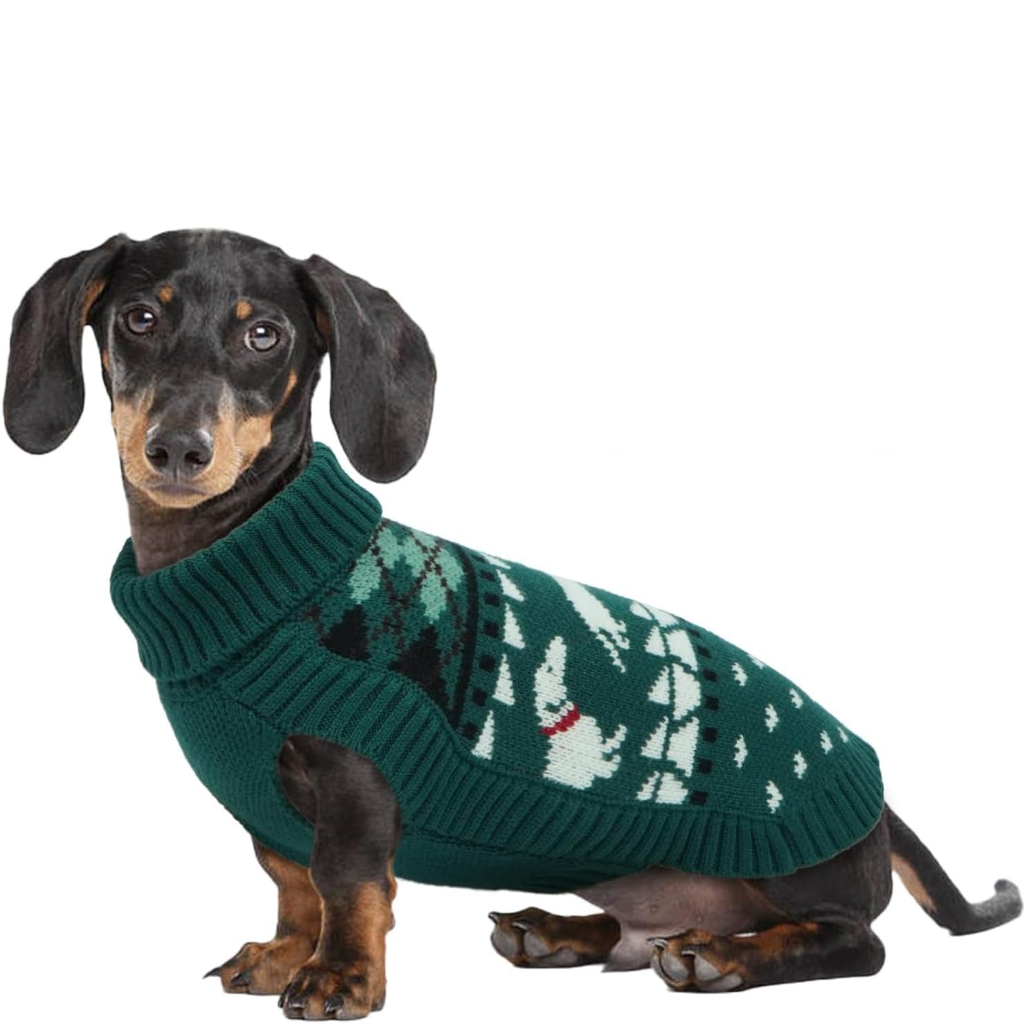Turtleneck Dachshund Sweater – Sleeveless Knit Pullover