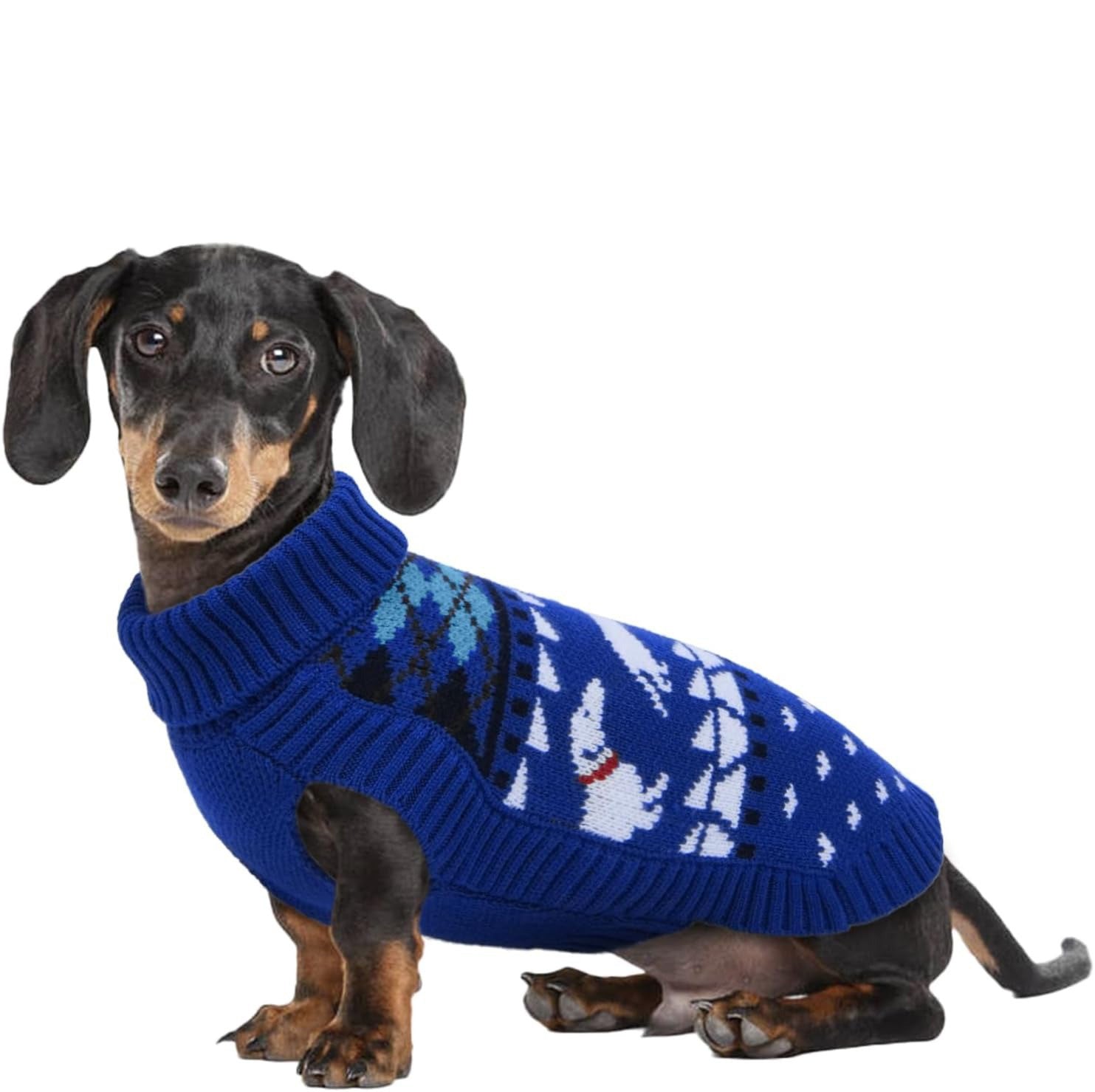 Turtleneck Dachshund Sweater – Sleeveless Knit Pullover