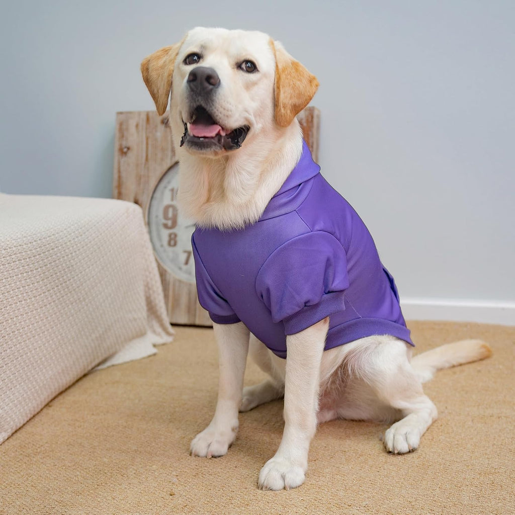 Solid Color Dog Hoodie with Leash Hole and Pocket – Soft Warm Pet Sweater