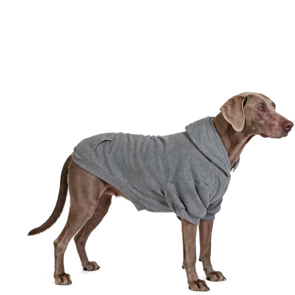 Solid Color Dog Hoodie with Leash Hole and Pocket – Soft Warm Pet Sweater