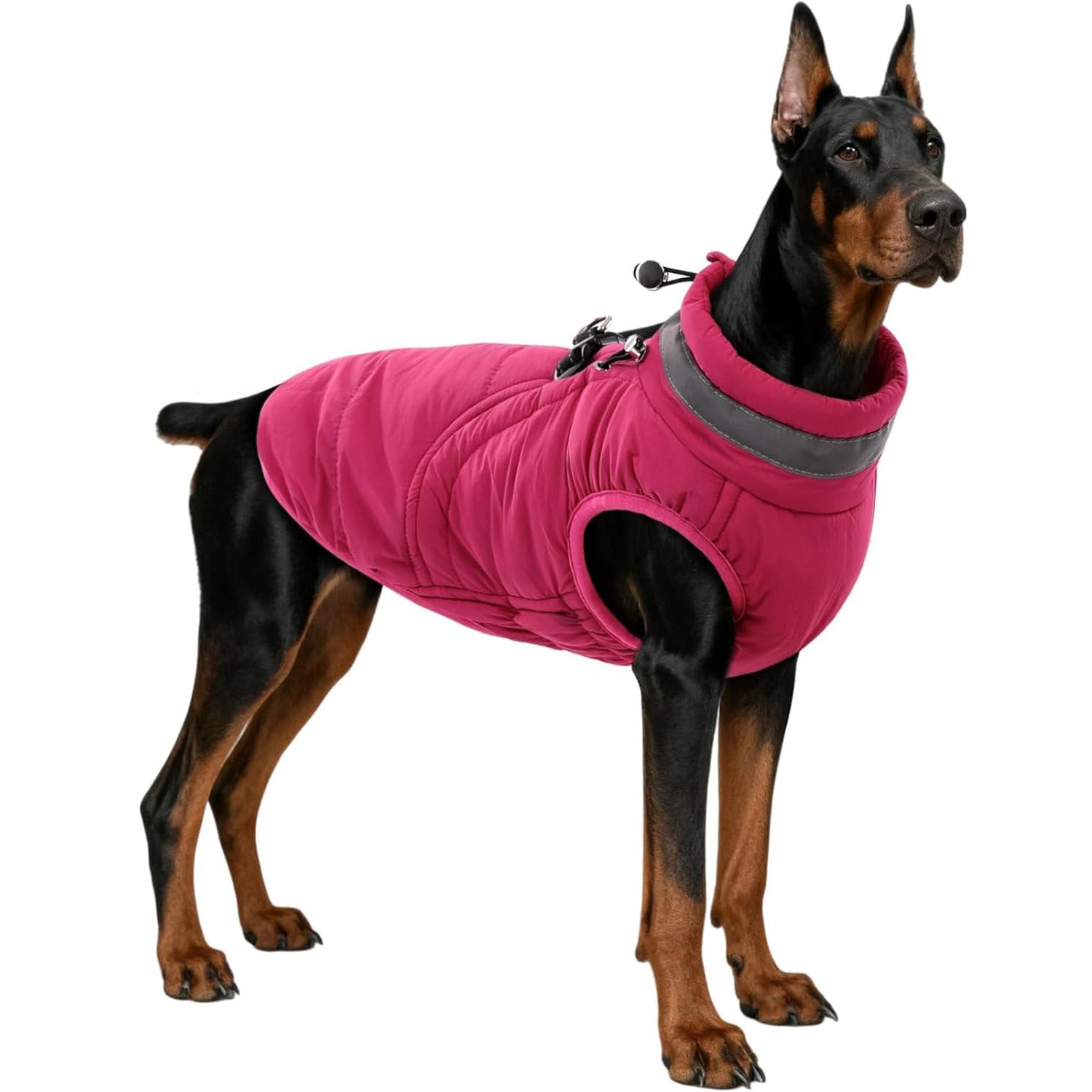 Windproof Waterproof Dog Coat – Fleece Lined Zipper Jacket