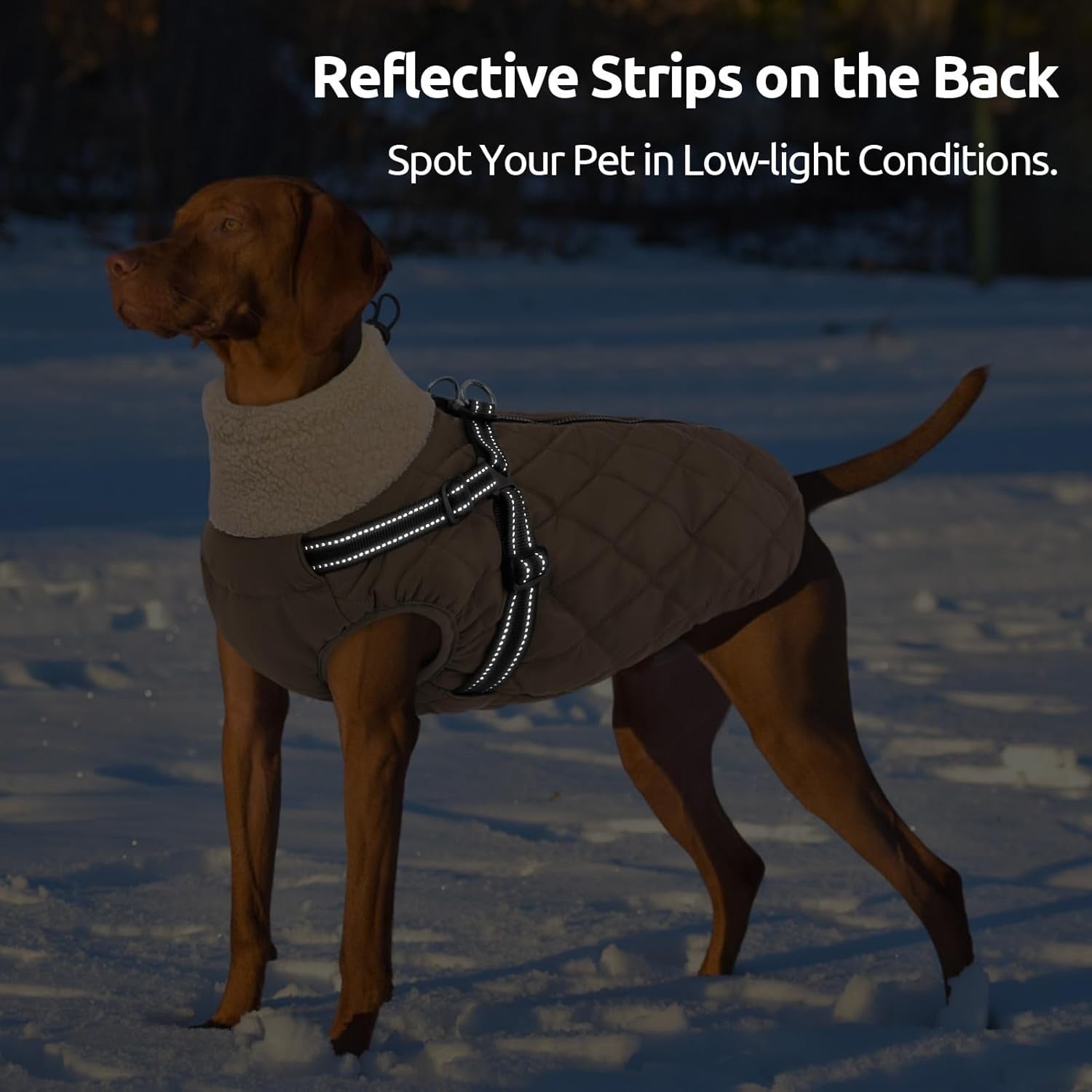 Dog Coat with Built-in Harness – Warm Fleece Lined Back Zipper Winter Jacket