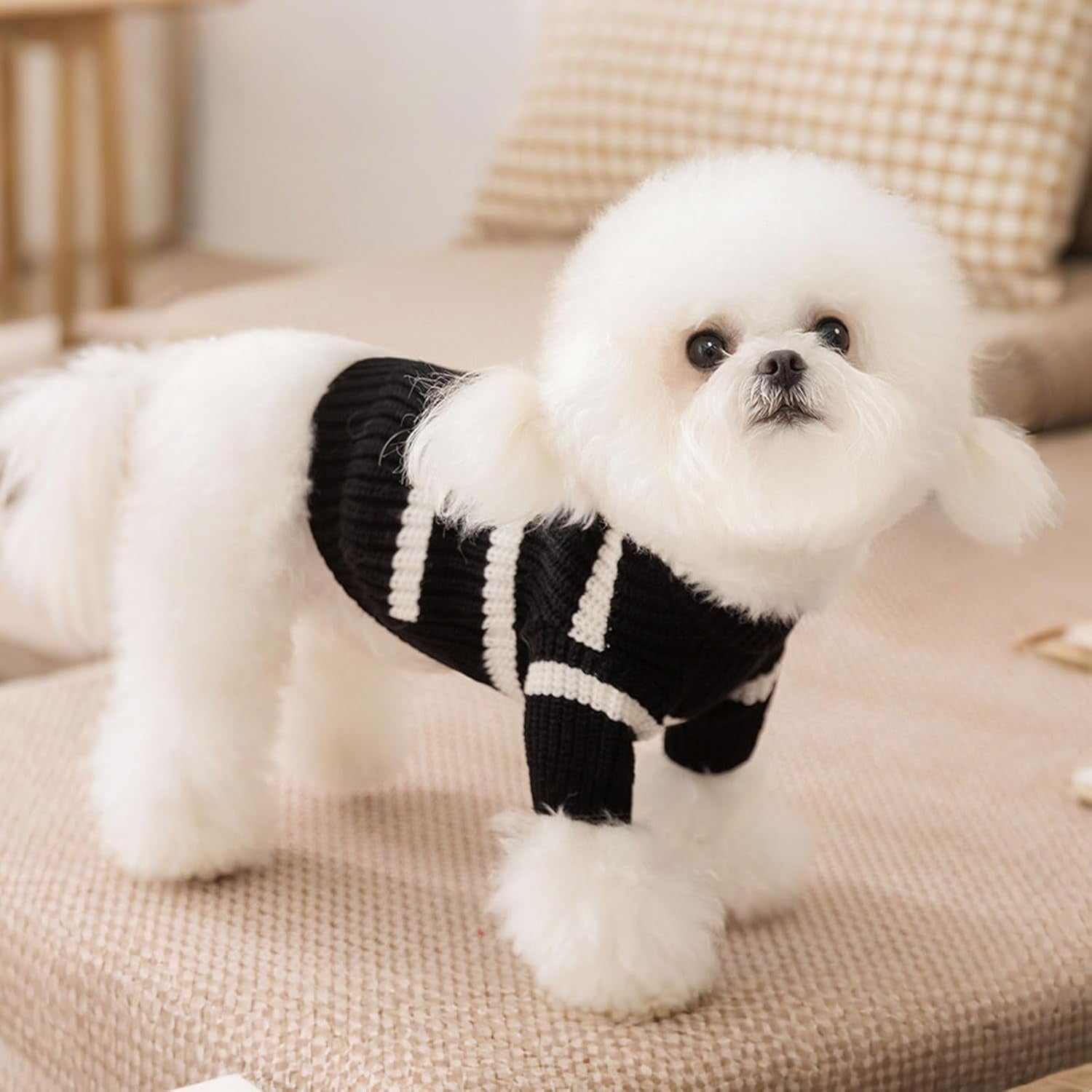 Striped Small Dog Sweater with Pocket – Soft Stretchable Warm Puppy Clothes