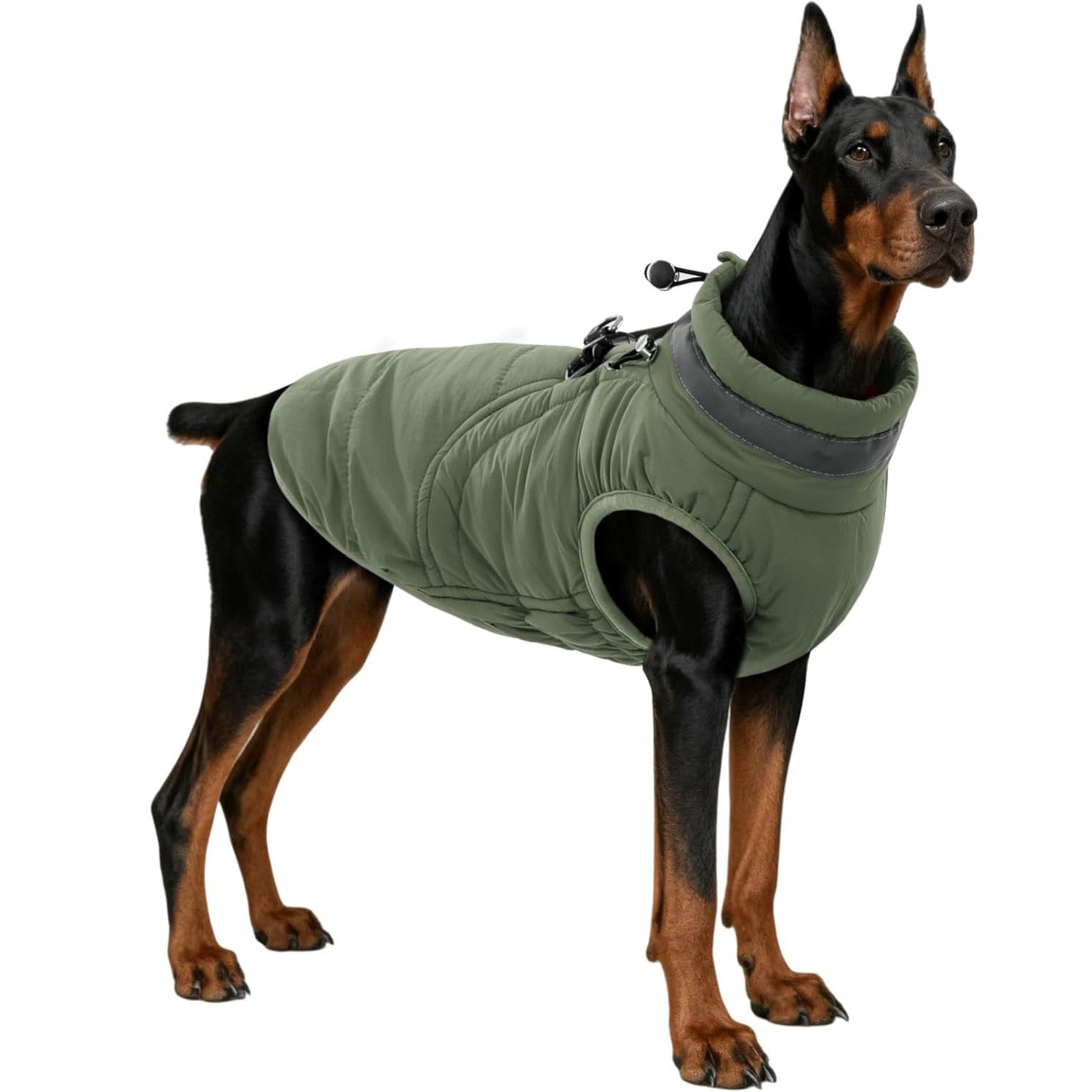 Windproof Waterproof Dog Coat – Fleece Lined Zipper Jacket