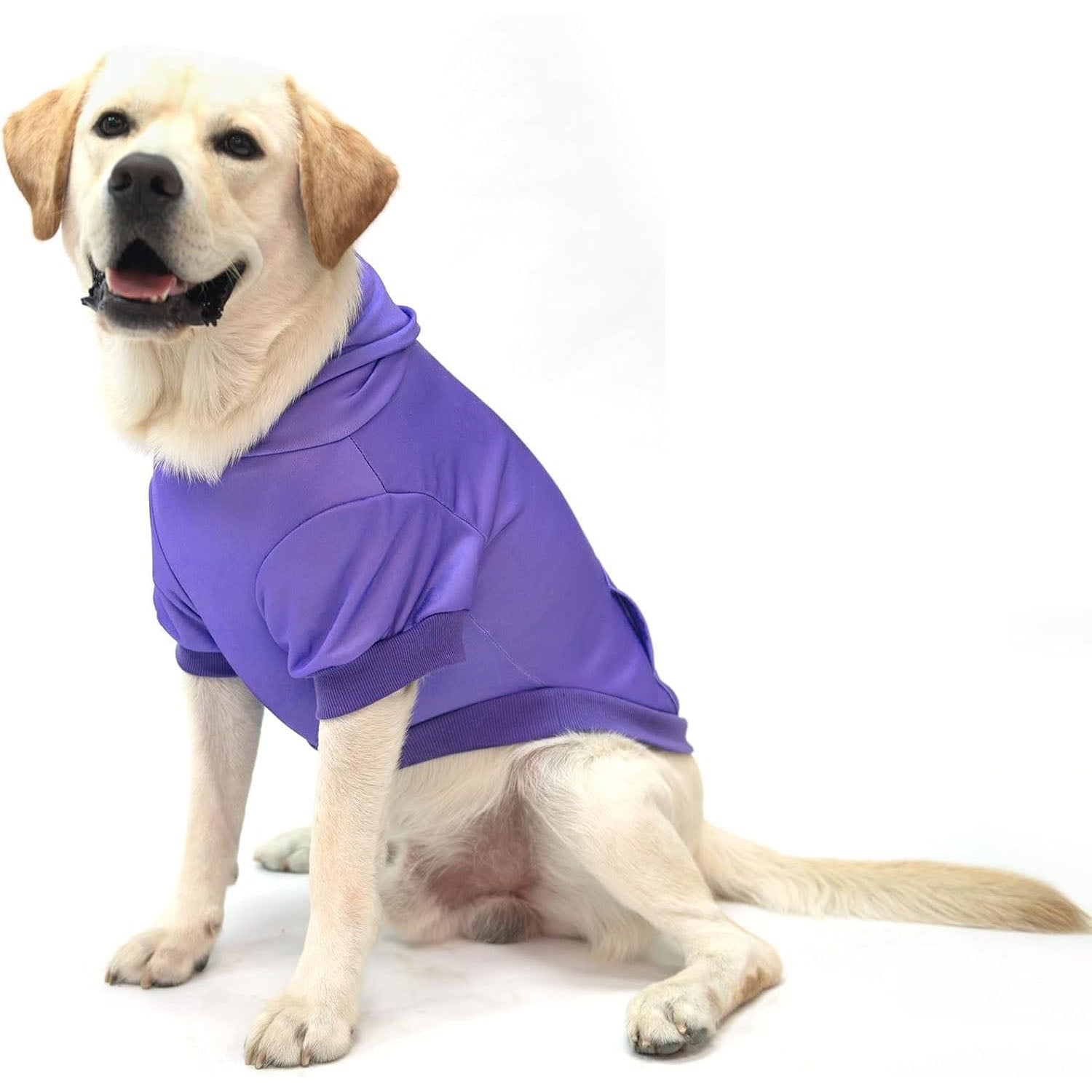 Solid Color Dog Hoodie with Leash Hole and Pocket – Soft Warm Pet Sweater