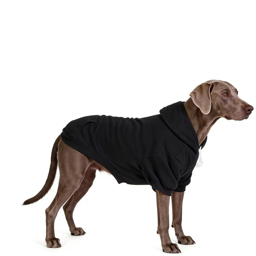 Solid Color Dog Hoodie with Leash Hole and Pocket – Soft Warm Pet Sweater