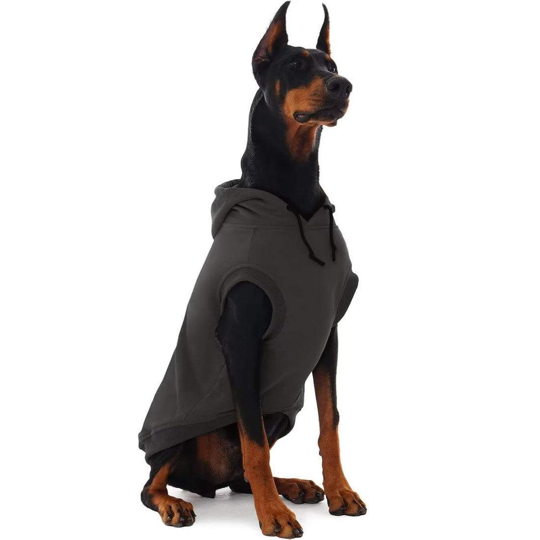 Basic Dog Hoodie for Large Dogs – Lightweight Fall Pullover Sweatshirt with Hood