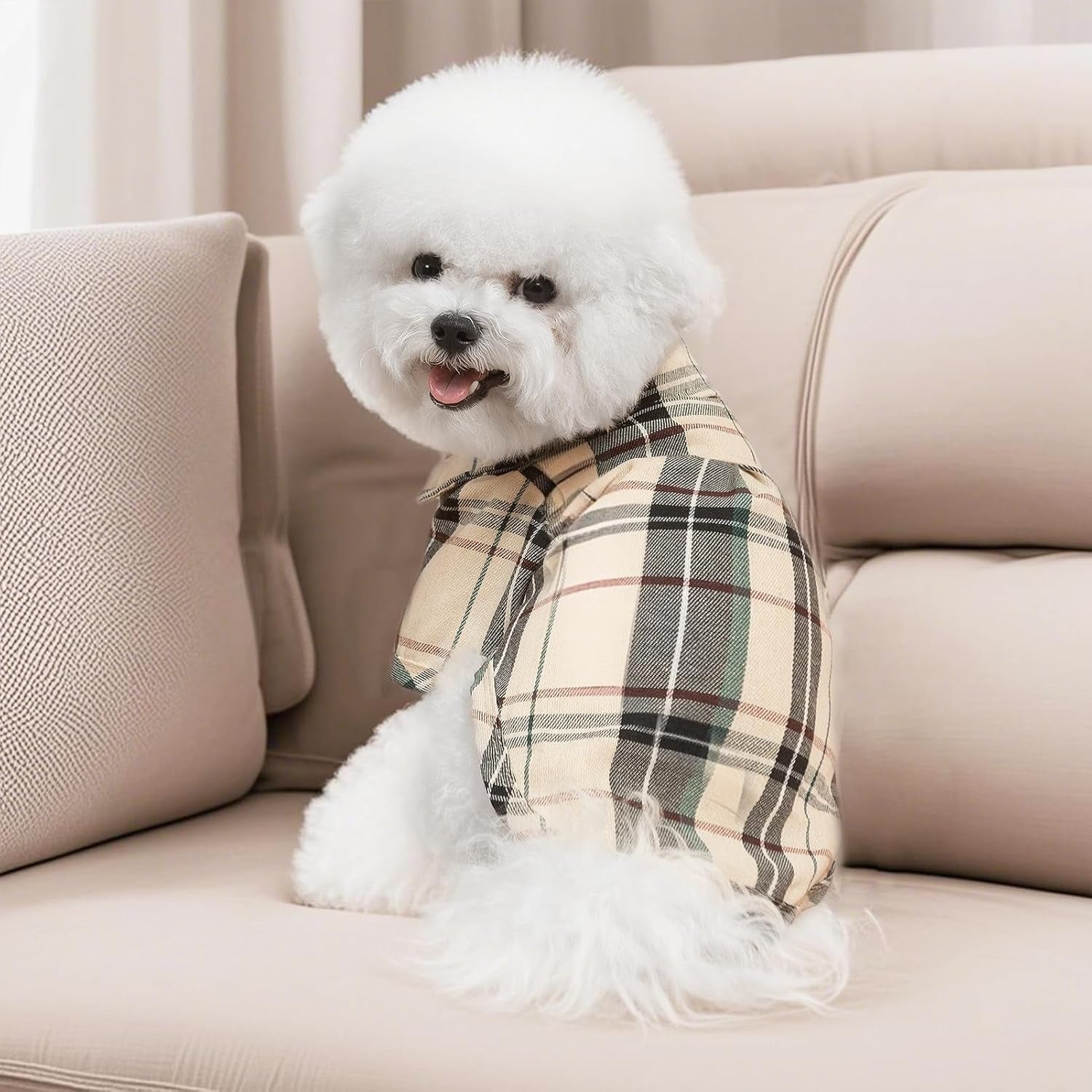 Plaid Dog Shirt – Cute Puppy Polo T-Shirt for Small Medium Dogs