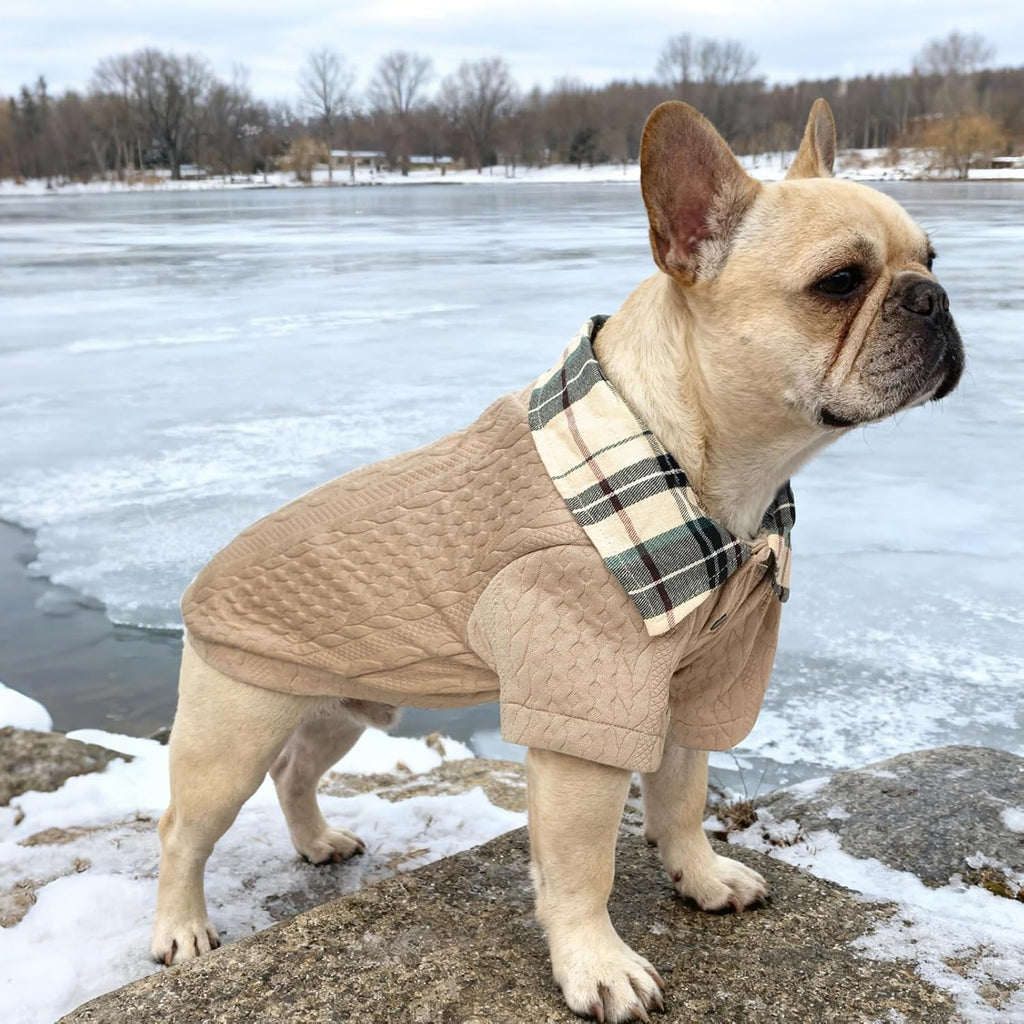 Dog Sweater with Faux Shirt Collar – Hoodie Pullover for Small Medium Dogs Winter