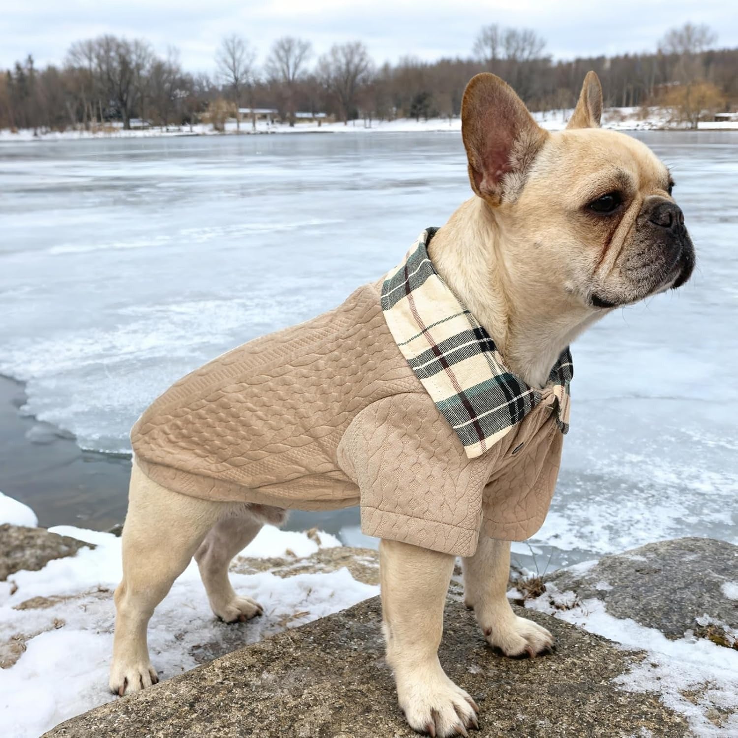 Dog Sweater with Faux Shirt Collar – Hoodie Pullover for Small Medium Dogs Winter