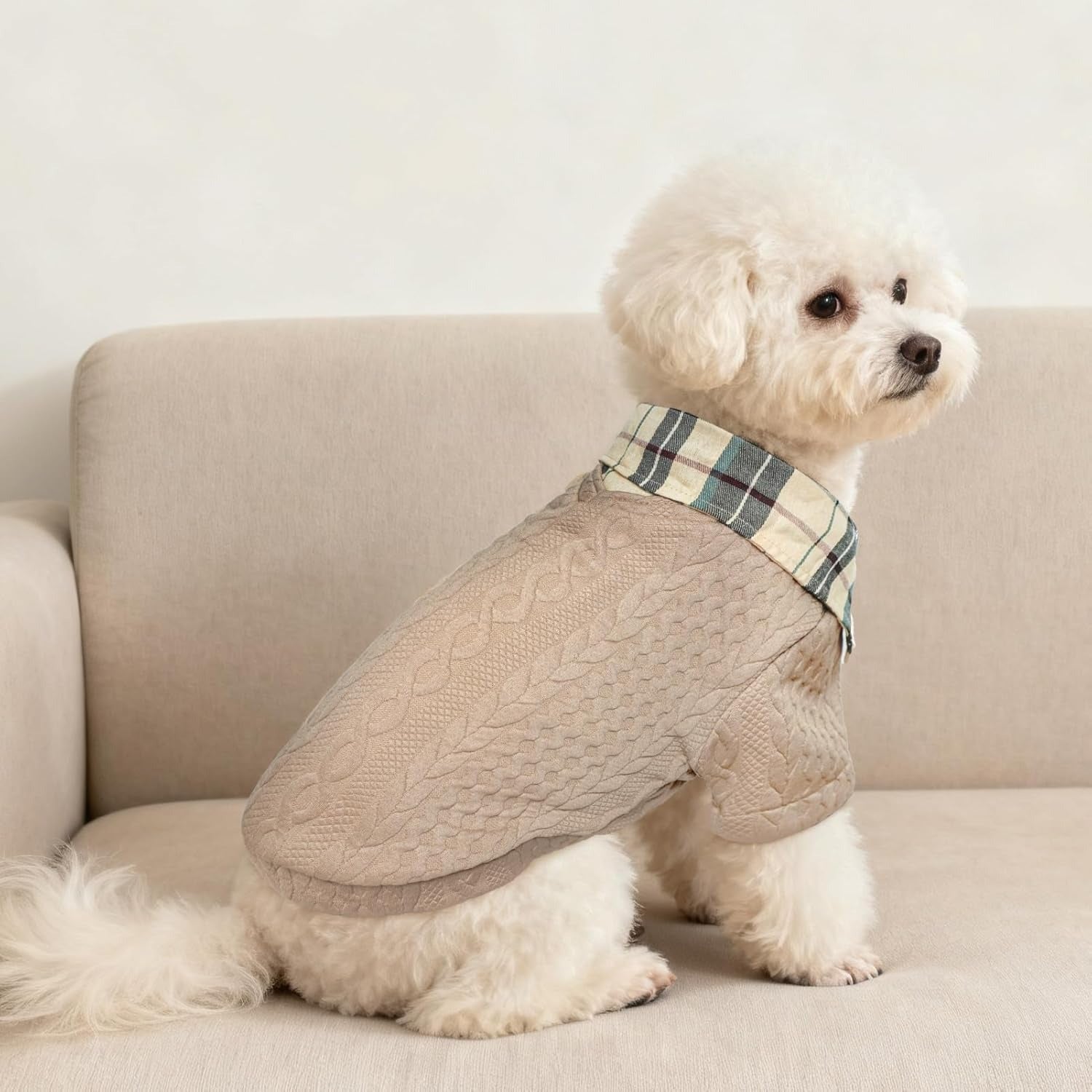 Dog Sweater with Faux Shirt Collar – Hoodie Pullover for Small Medium Dogs Winter
