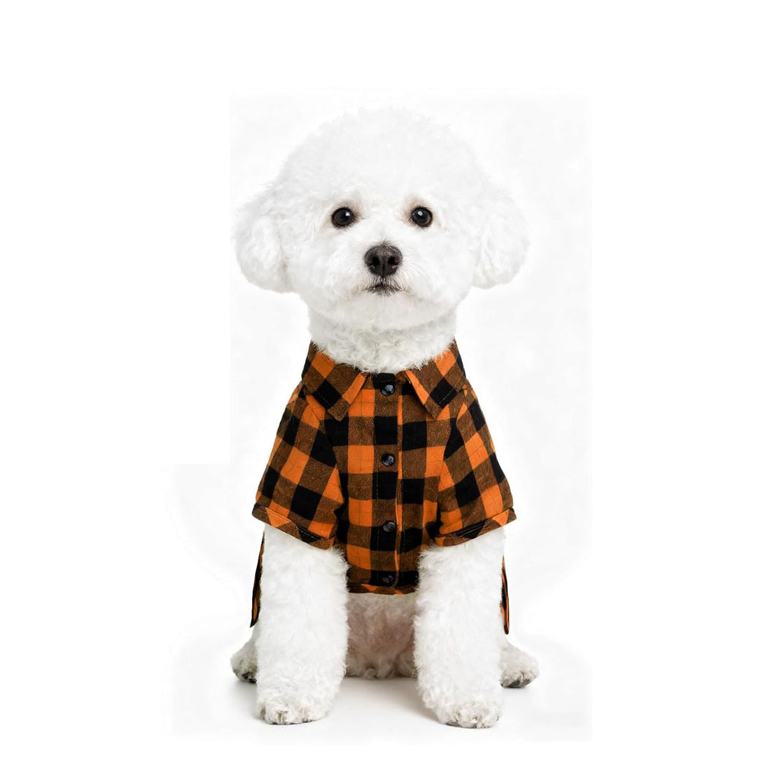 Plaid Dog Shirt – Cute Puppy Polo T-Shirt for Small Medium Dogs