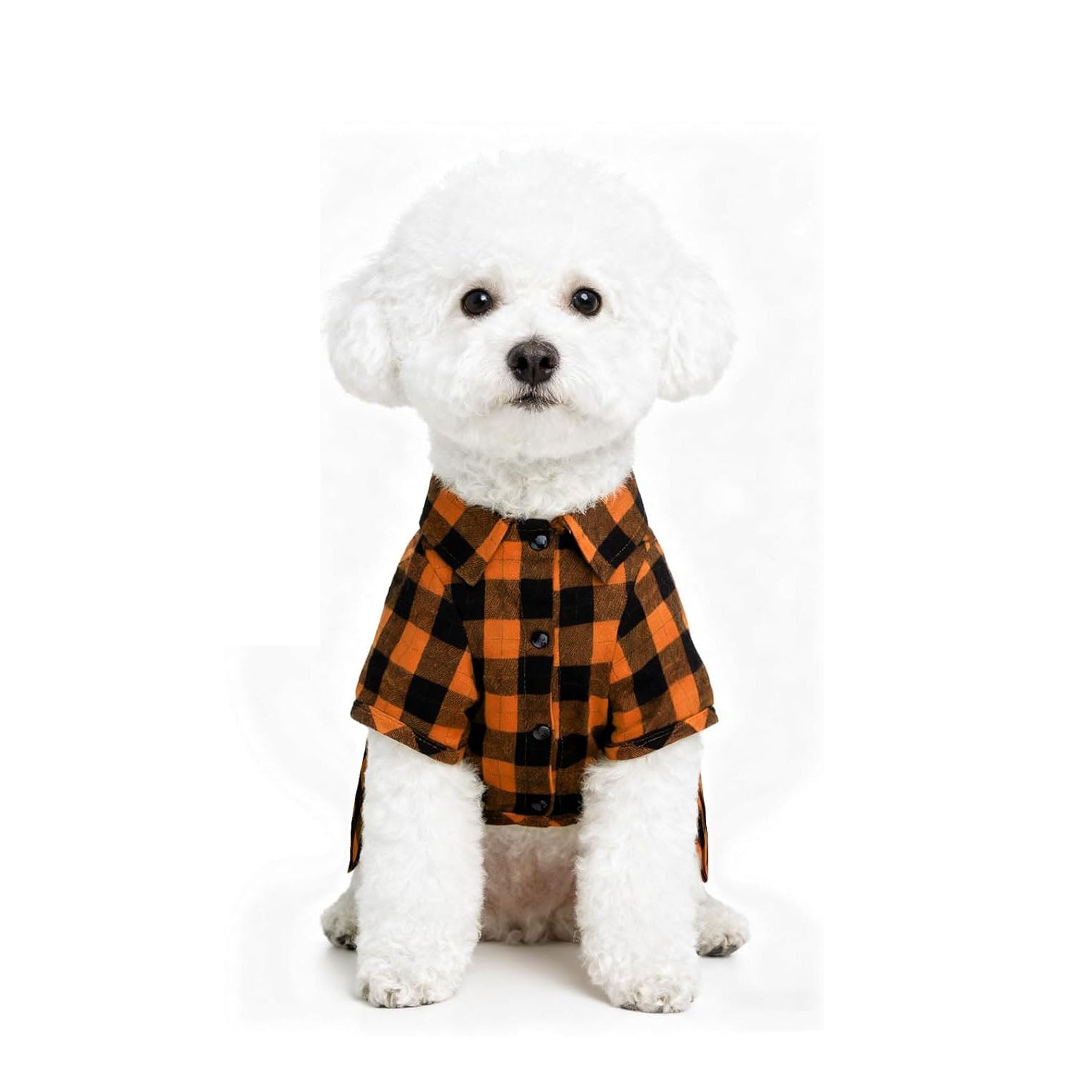 Plaid Dog Shirt – Cute Puppy Polo T-Shirt for Small Medium Dogs