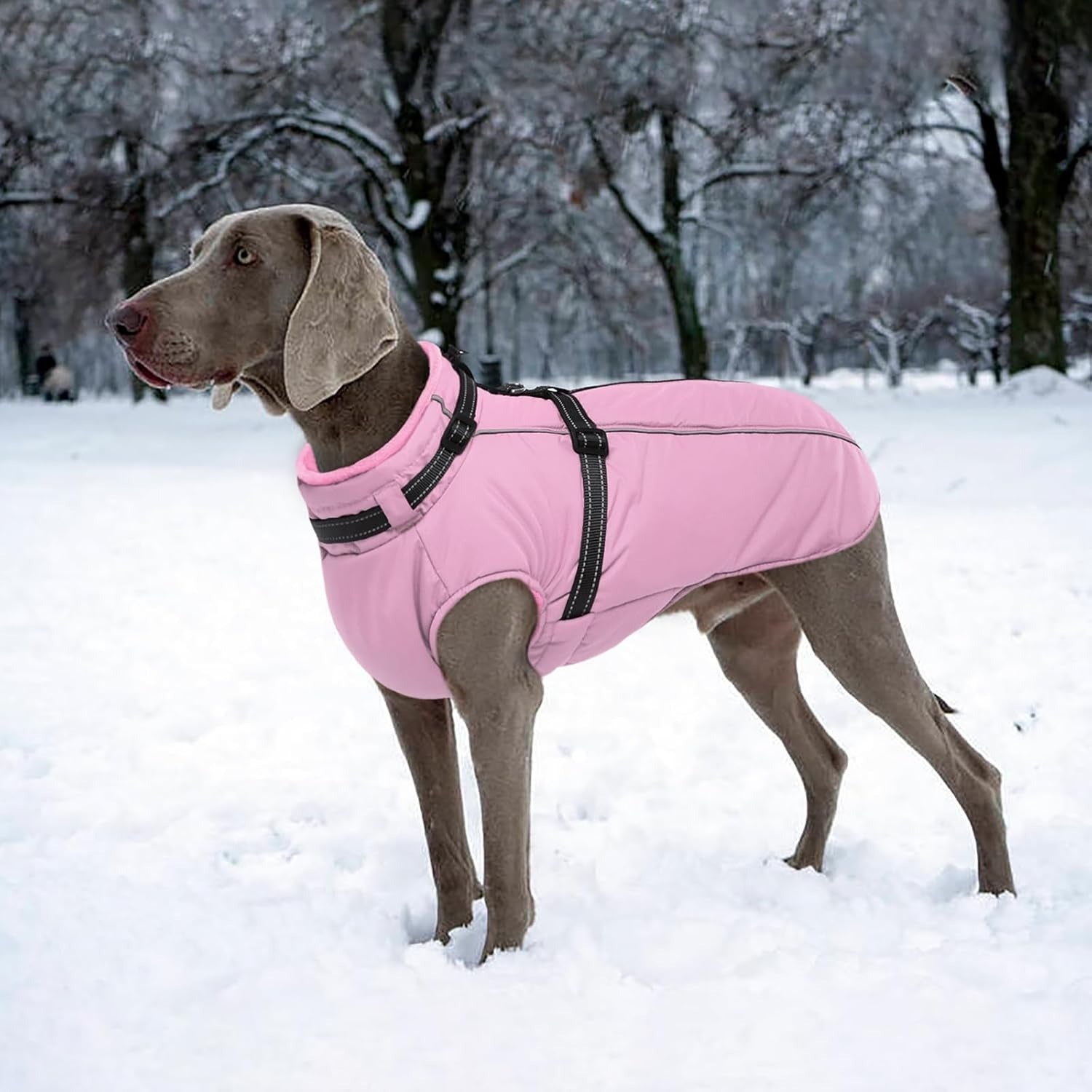 Waterproof Dog Jacket with Harness Built In – Reflective Fleece Zip Coat