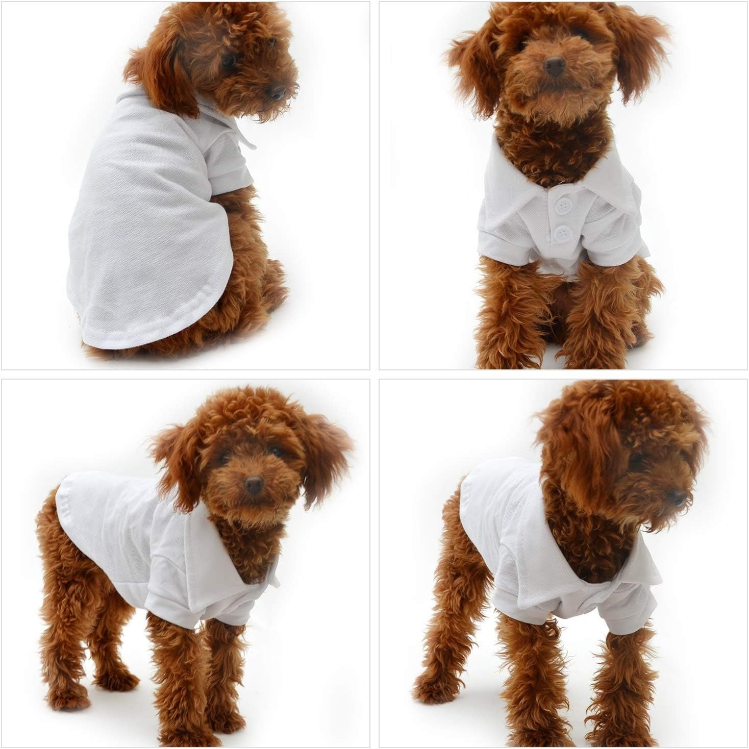 Basic Dog Polo Shirt – Premium Cotton Polo T-Shirts with Two-Button Collar