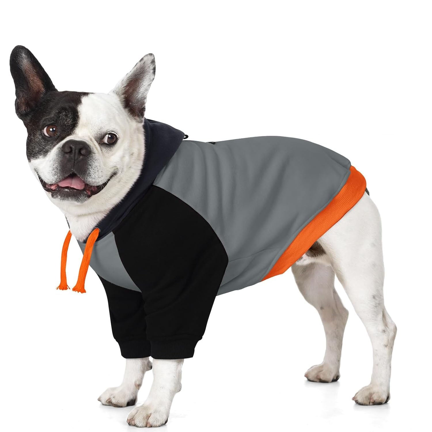 Basic Dog Hoodie for Small Dogs – Color Block Design Warm Soft Sweatshirt