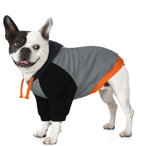 Basic Dog Hoodie for Small Dogs – Color Block Design Warm Soft Sweatshirt