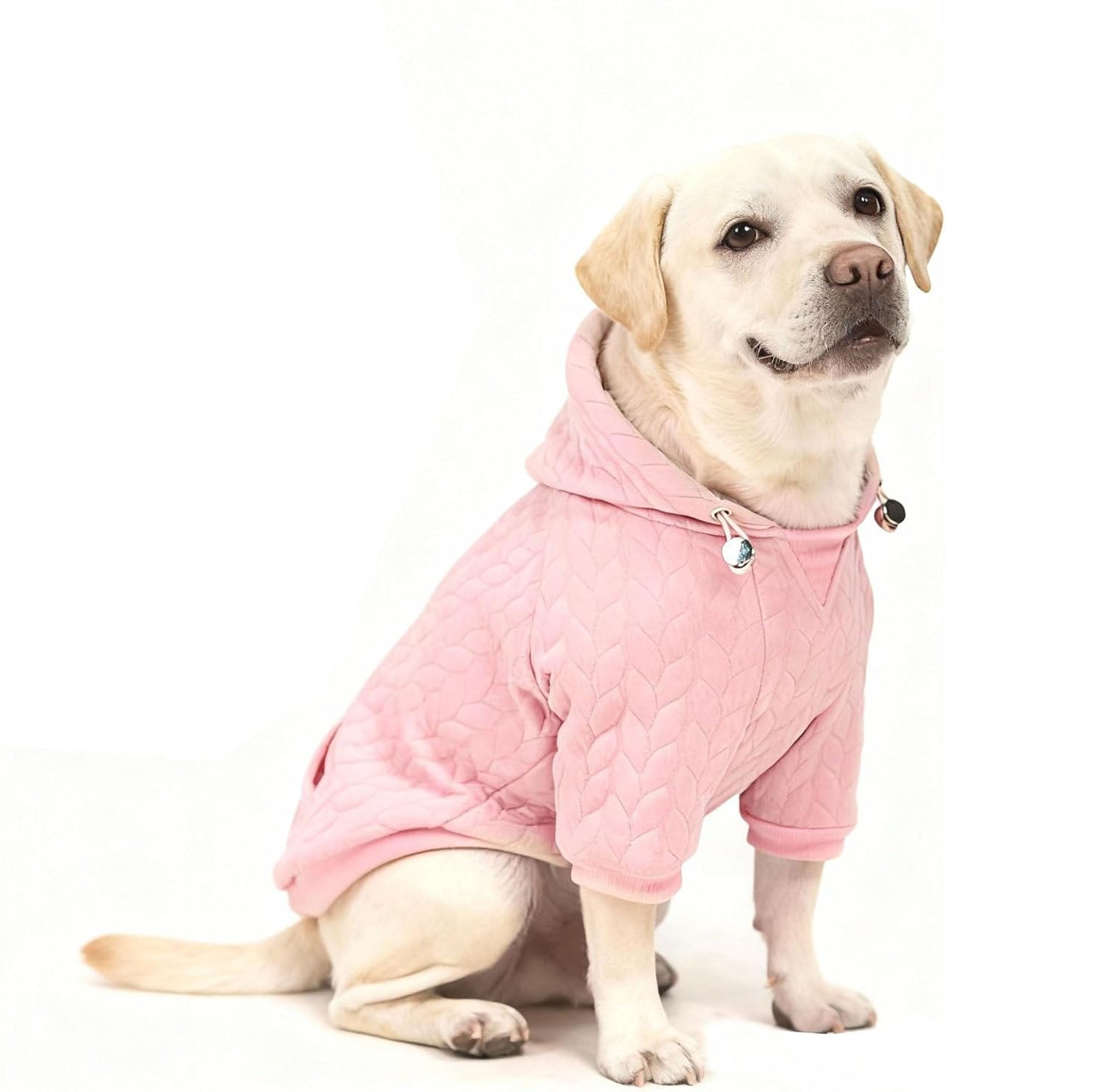 Textured Cable Knit Basic Dog Hoodie – Sweater with Leash Hole and Pocket