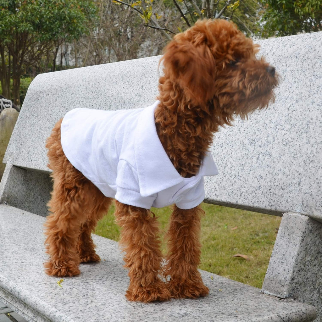 Basic Dog Polo Shirt – Premium Cotton Polo T-Shirts with Two-Button Collar