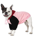 Basic Dog Hoodie for Small Dogs – Color Block Design Warm Soft Sweatshirt