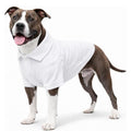 Basic Dog Polo Shirt – Premium Cotton Polo T-Shirts with Two-Button Collar