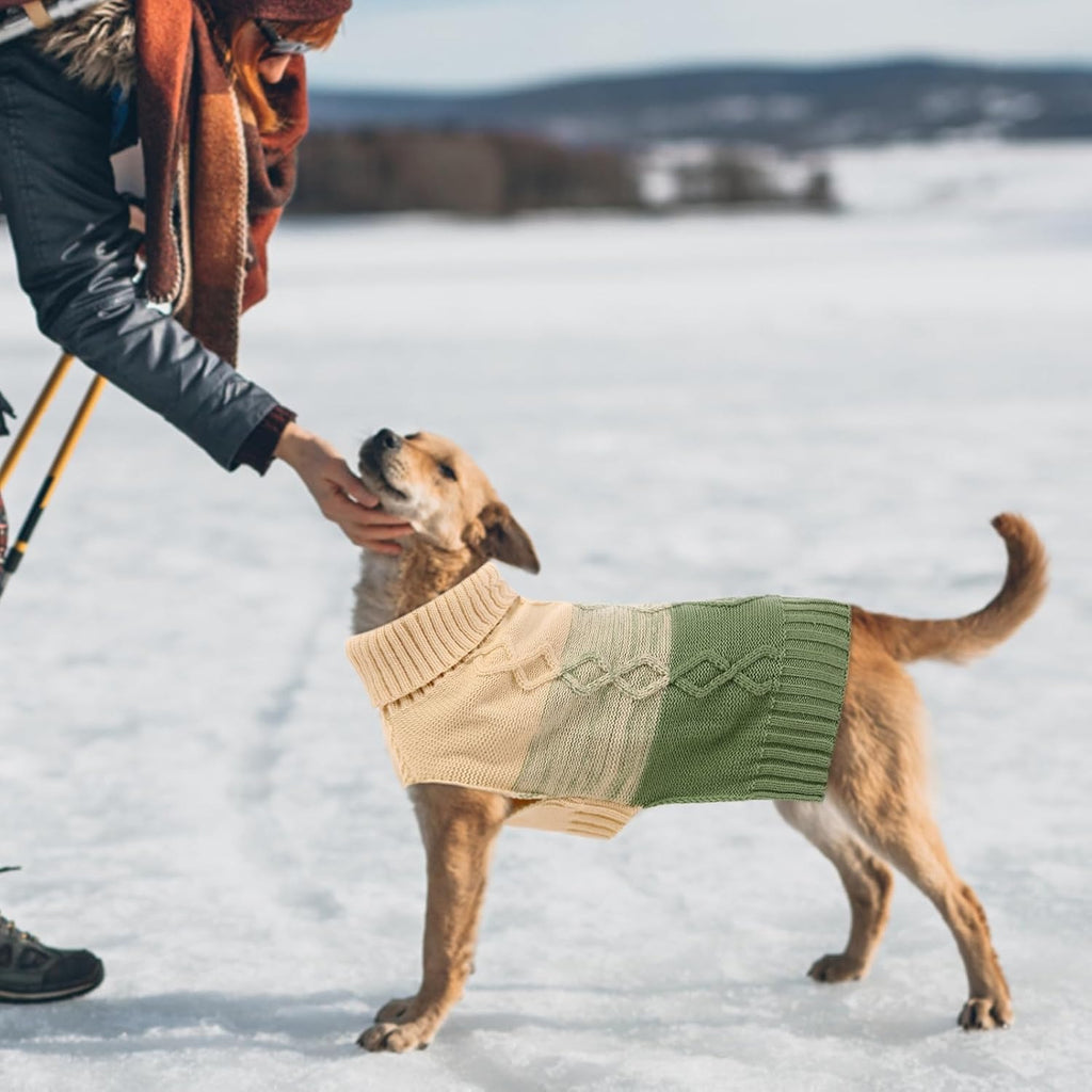 Thicked Turtleneck Dog Sweater – Warm Pullover
