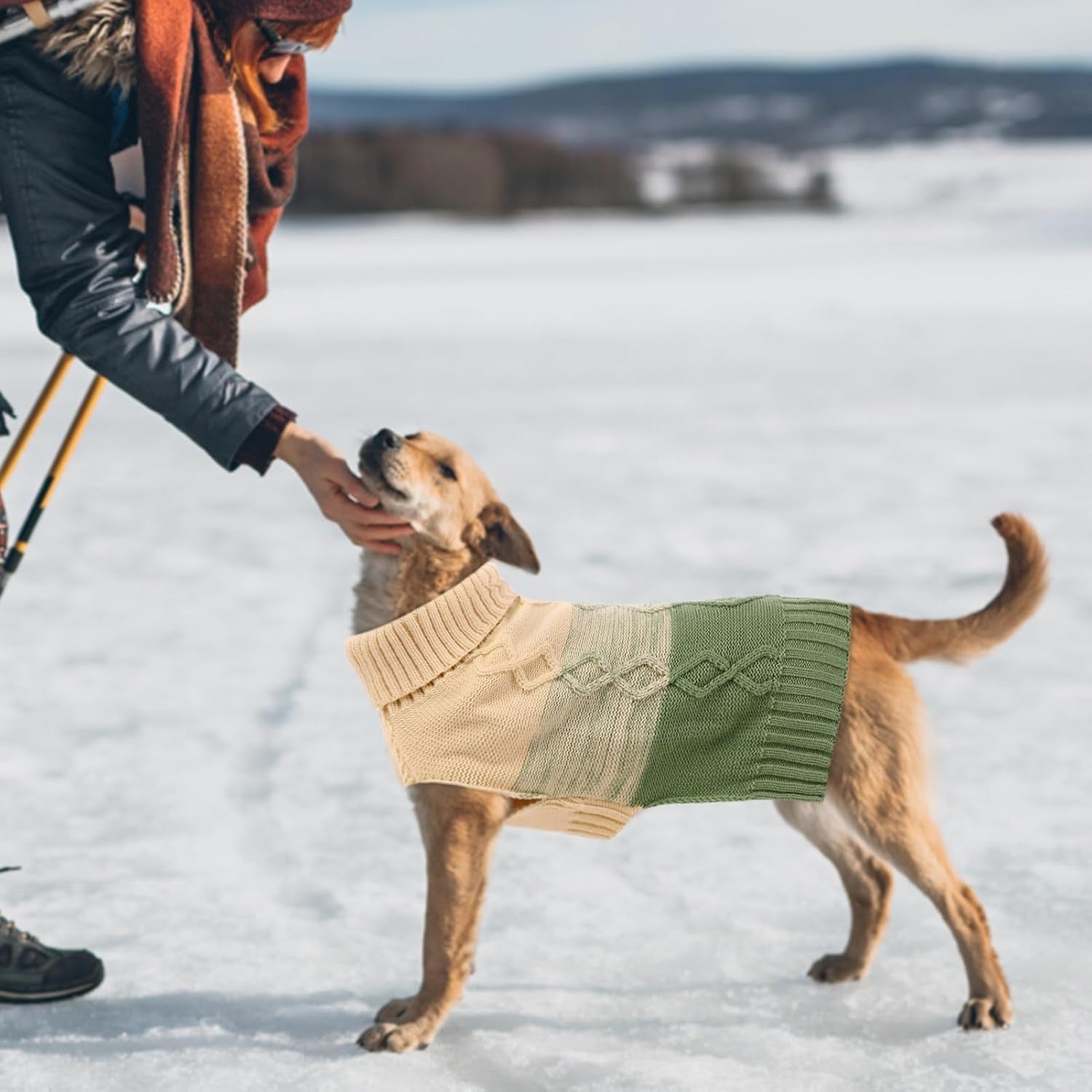 Thicked Turtleneck Dog Sweater – Warm Pullover