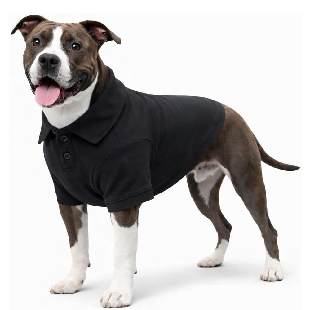 Basic Dog Polo Shirt – Premium Cotton Polo T-Shirts with Two-Button Collar