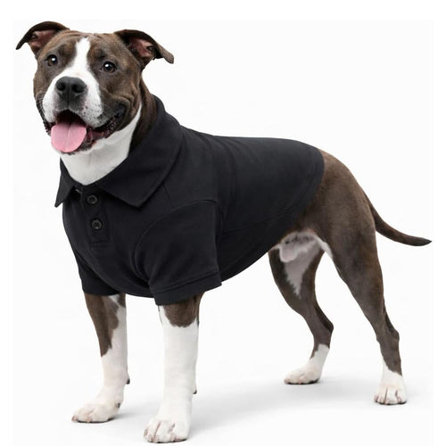 Basic Dog Polo Shirt – Premium Cotton Polo T-Shirts with Two-Button Collar