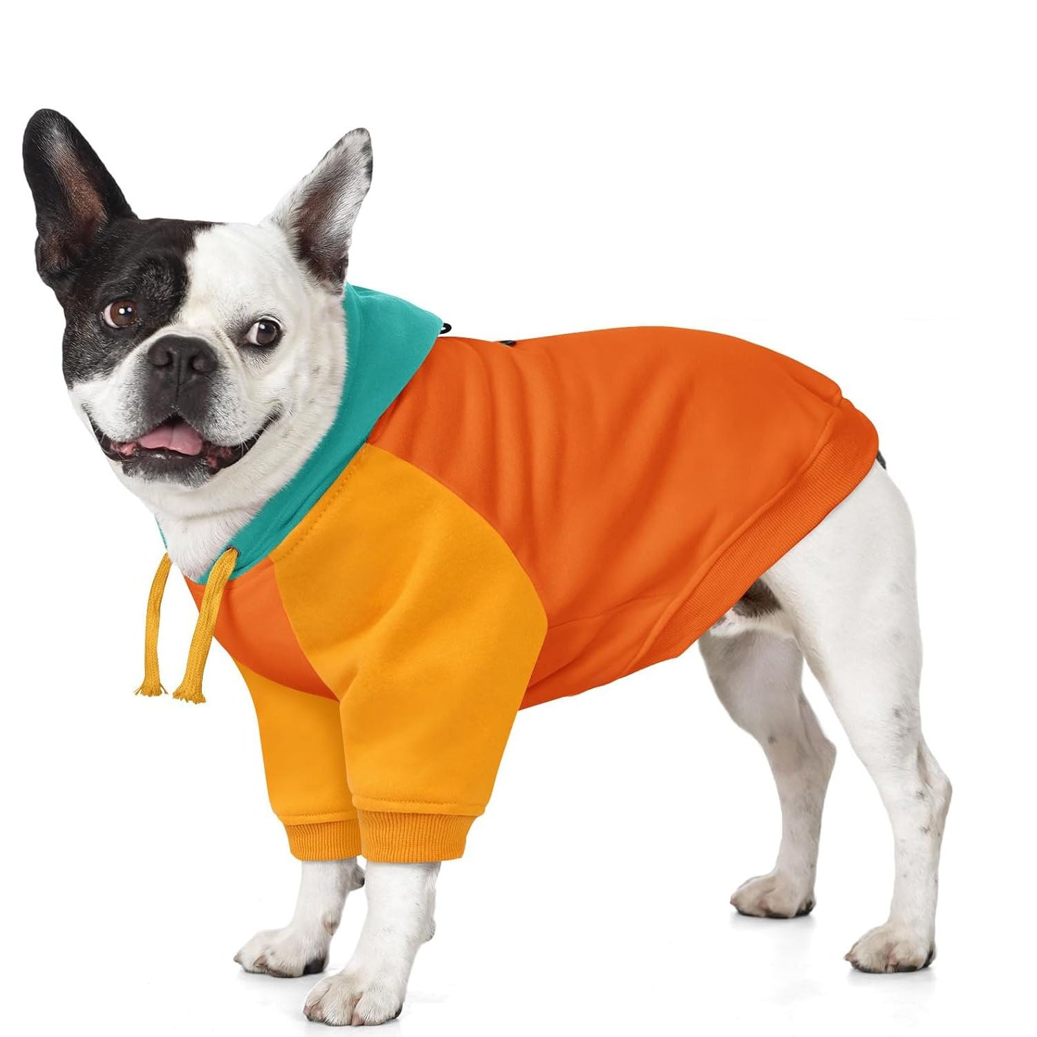 Basic Dog Hoodie for Small Dogs – Color Block Design Warm Soft Sweatshirt