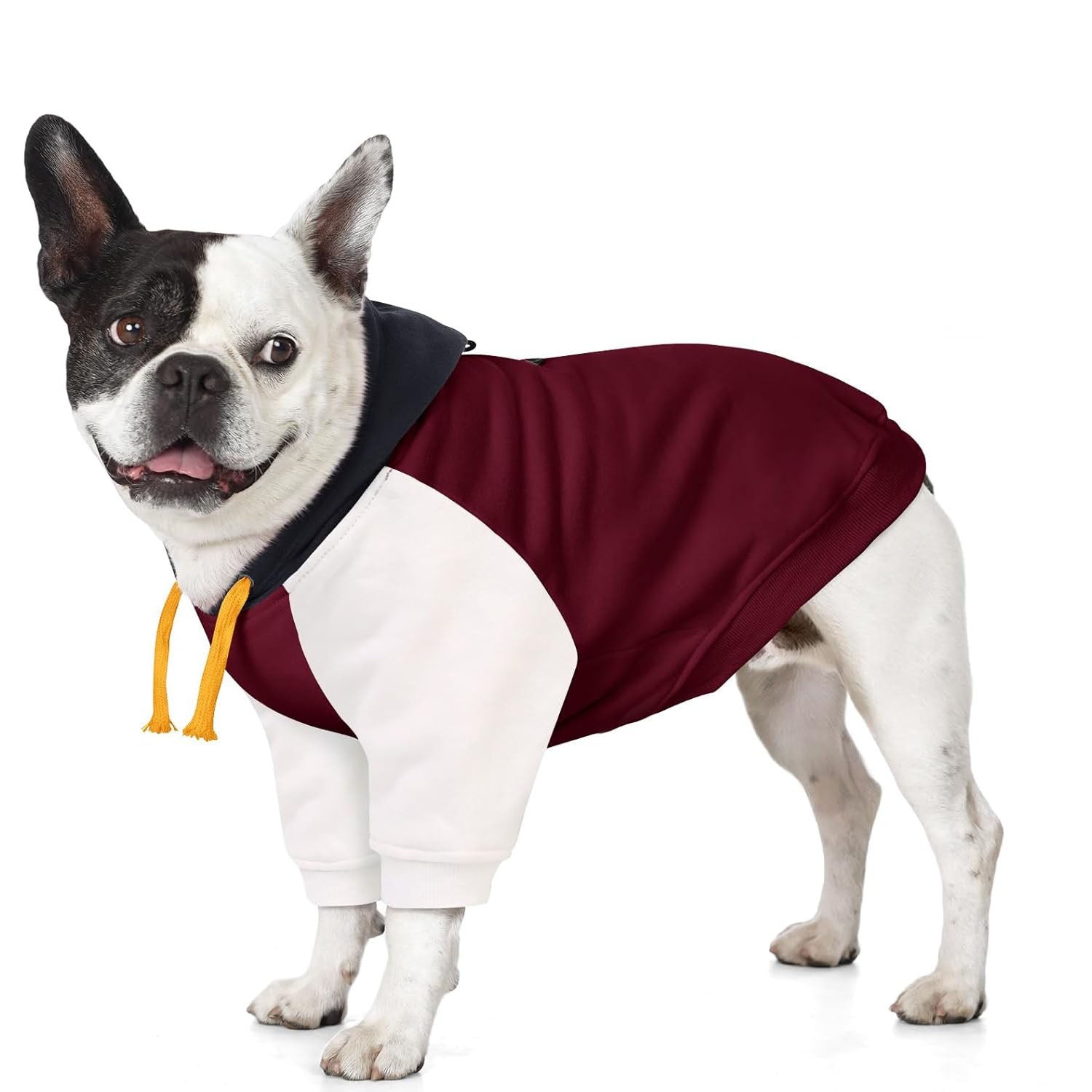 Basic Dog Hoodie for Small Dogs – Color Block Design Warm Soft Sweatshirt