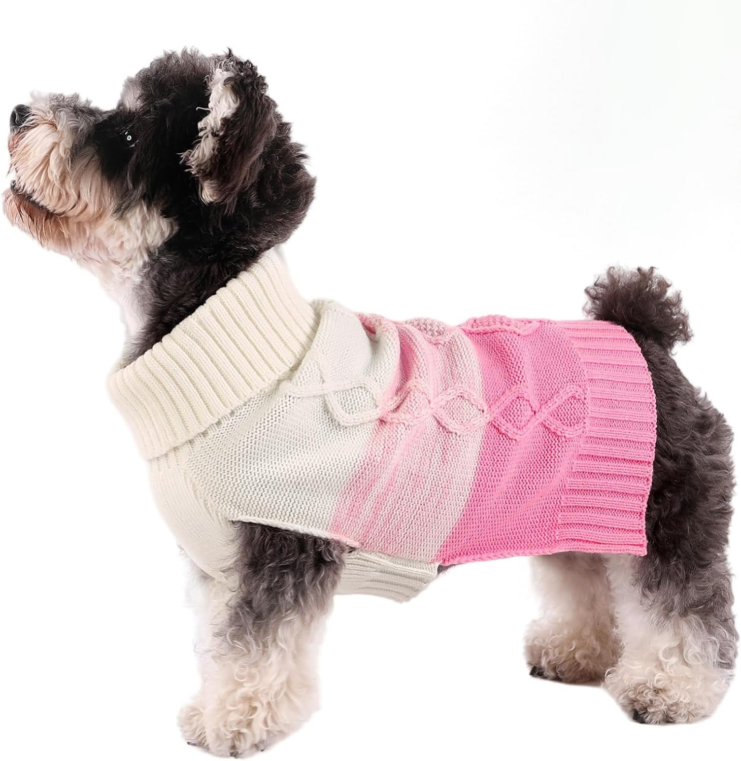 Thicked Turtleneck Dog Sweater – Warm Pullover