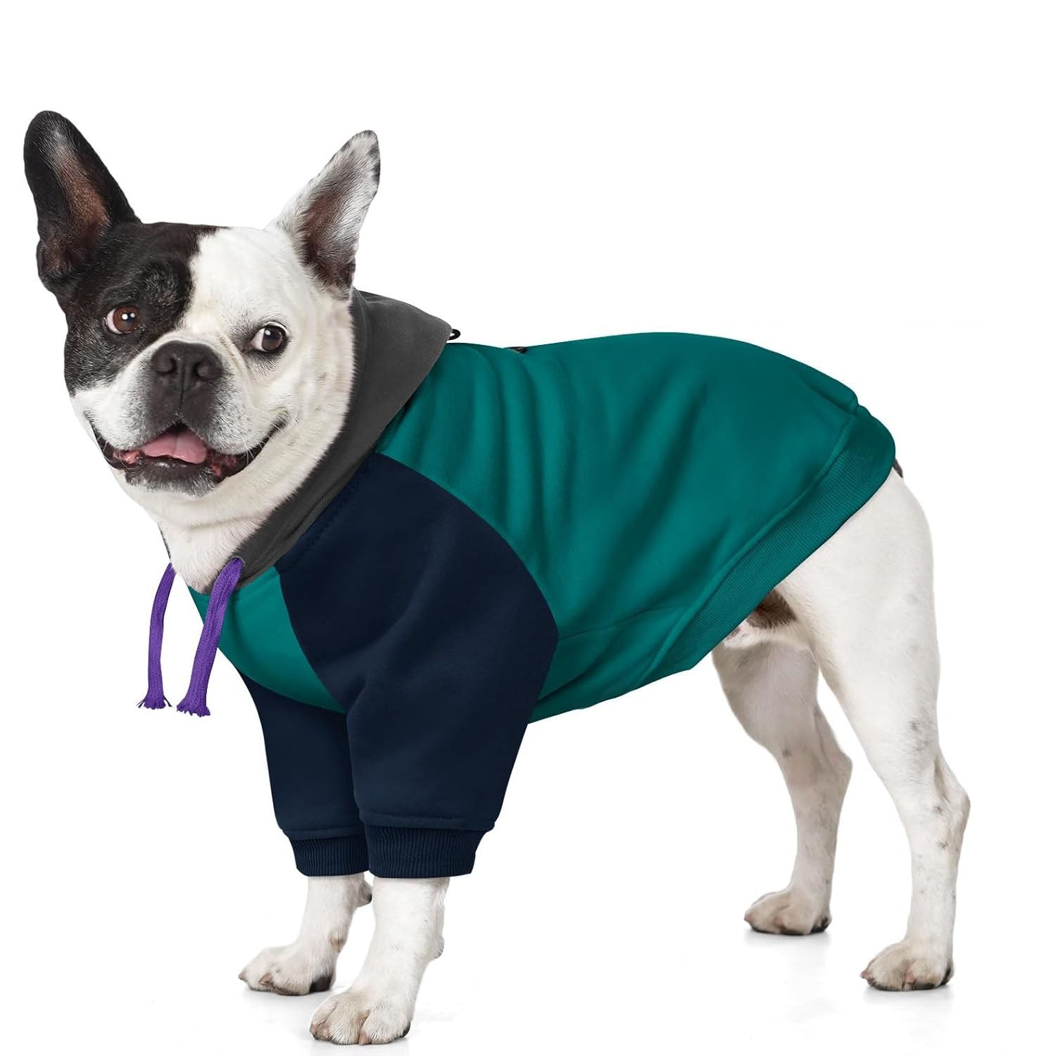 Basic Dog Hoodie for Small Dogs – Color Block Design Warm Soft Sweatshirt