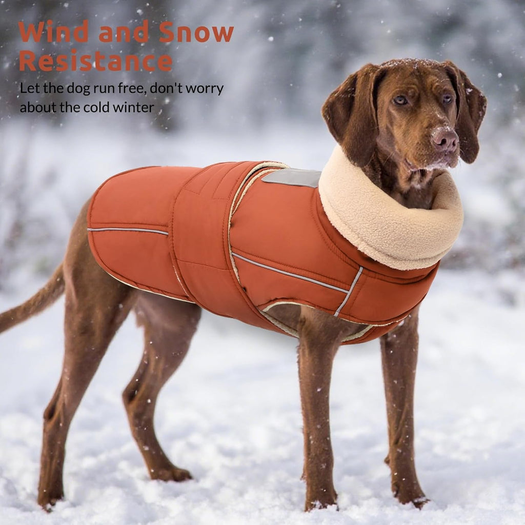 Waterproof Dog Jacket – Reflective Fleece Vest with Turtleneck & Button Closure
